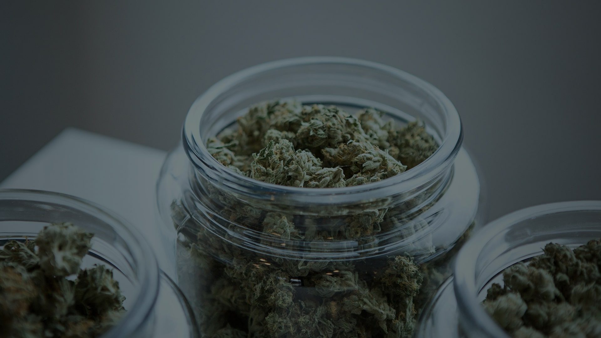 Cannabis flower in jars ready for packaging